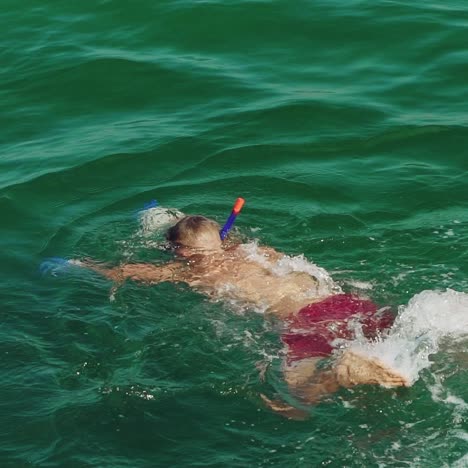 adult man in red shorts is swimming under water in a mask and with snorkel in the sea in the summer. slow motion