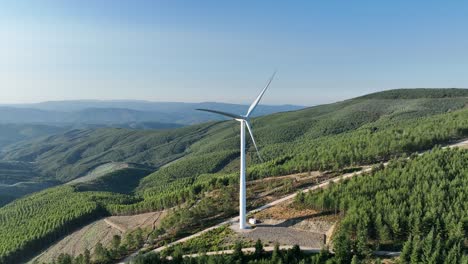Windkraftpark-In-Einem-Wald-In-Portugal