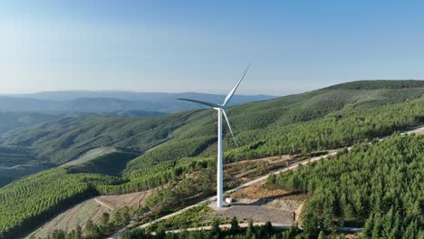 Parque-De-Energía-Eólica-En-Un-Bosque-En-Portugal