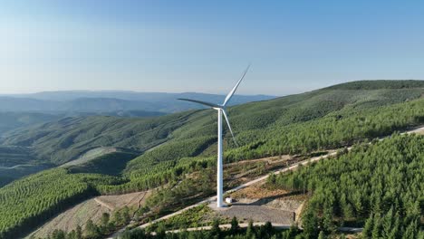 parque de energía eólica en un bosque en portugal