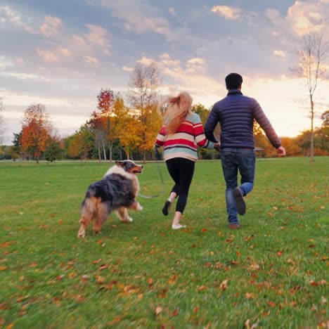 young couple holding hands walking with a dog in the park 6