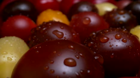 medley of heirloom grape cherry tomatoes filmed with a macro probe lens.