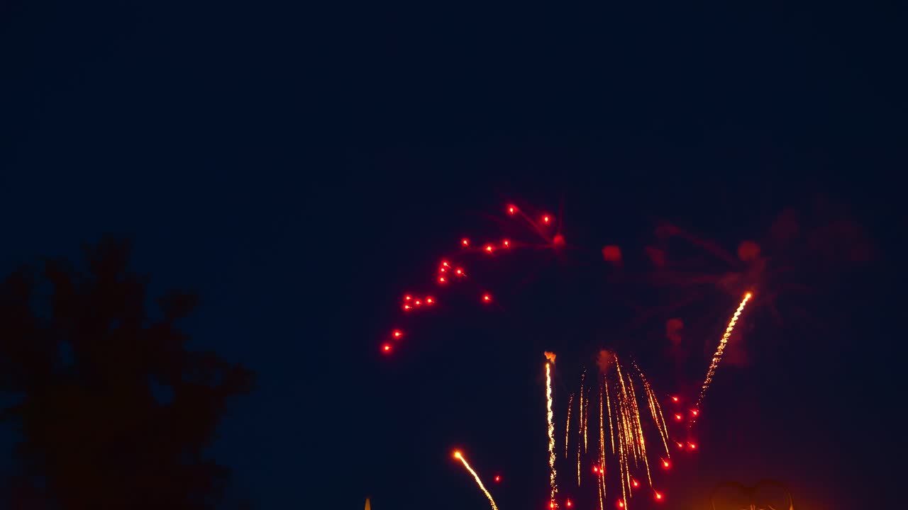 Celebration event unfolds in the park as vibrant fireworks burst into the night sky, illuminating the surroundings with brilliant colors. Families and friends gather to enjoy the festive atmosphere