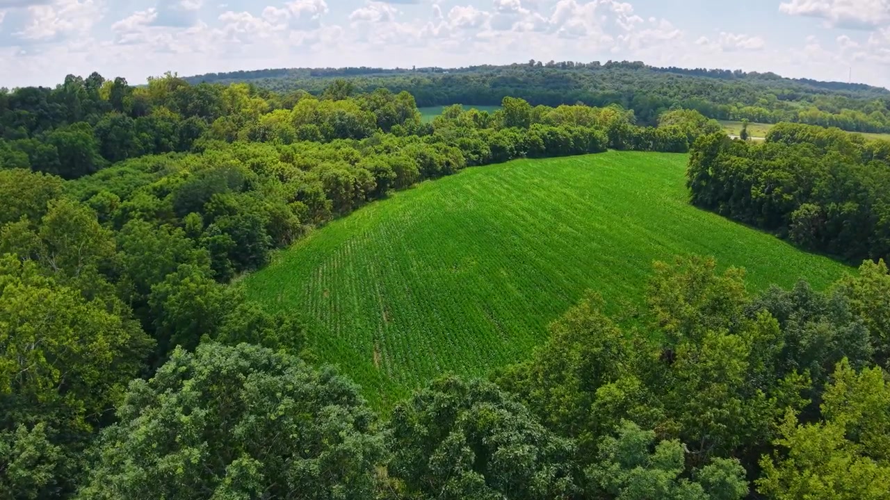 Vista aérea de un montículo serpentino con naturaleza circundante.
