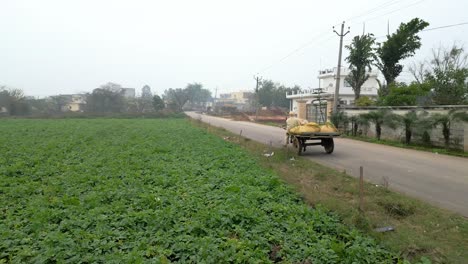 Carreta-De-Bueyes-Moviéndose-De-Frente-Desde-Atrás-Vista-Amplia