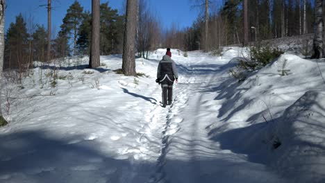 nordic person walking through snow covered forest path, wide