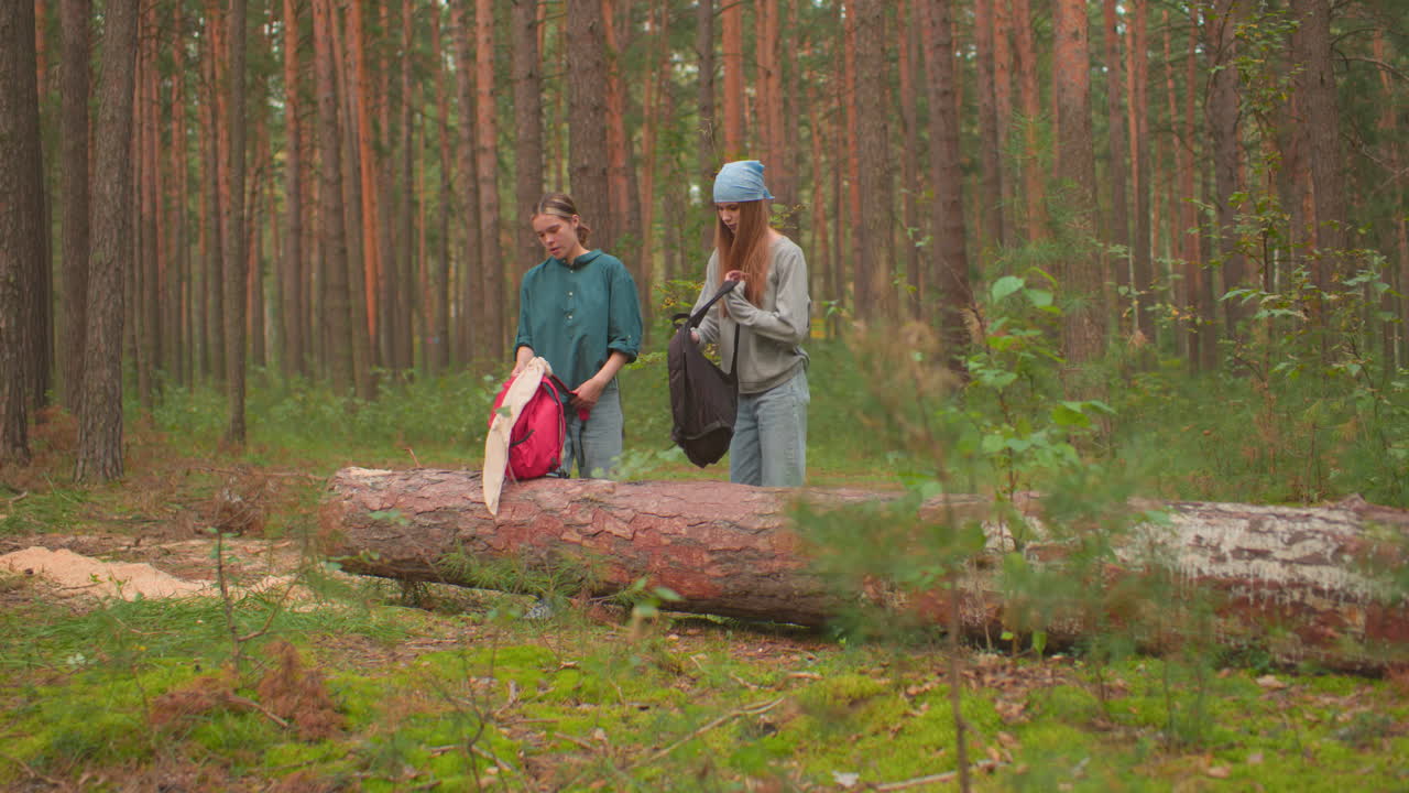 dos mujeres se acercan a un árbol caído en el bosque, colocando sus bolsas en la madera y abriendo la cremallera para recuperar artículos, rodeadas de frondoso follaje verde y árboles altos