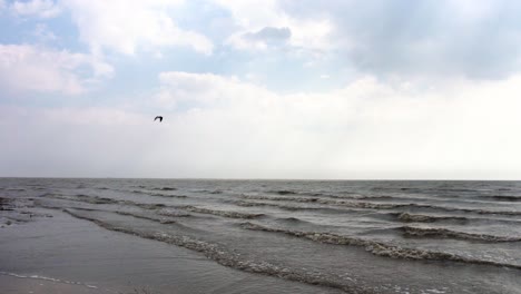 cloudy coastal scene with seagull