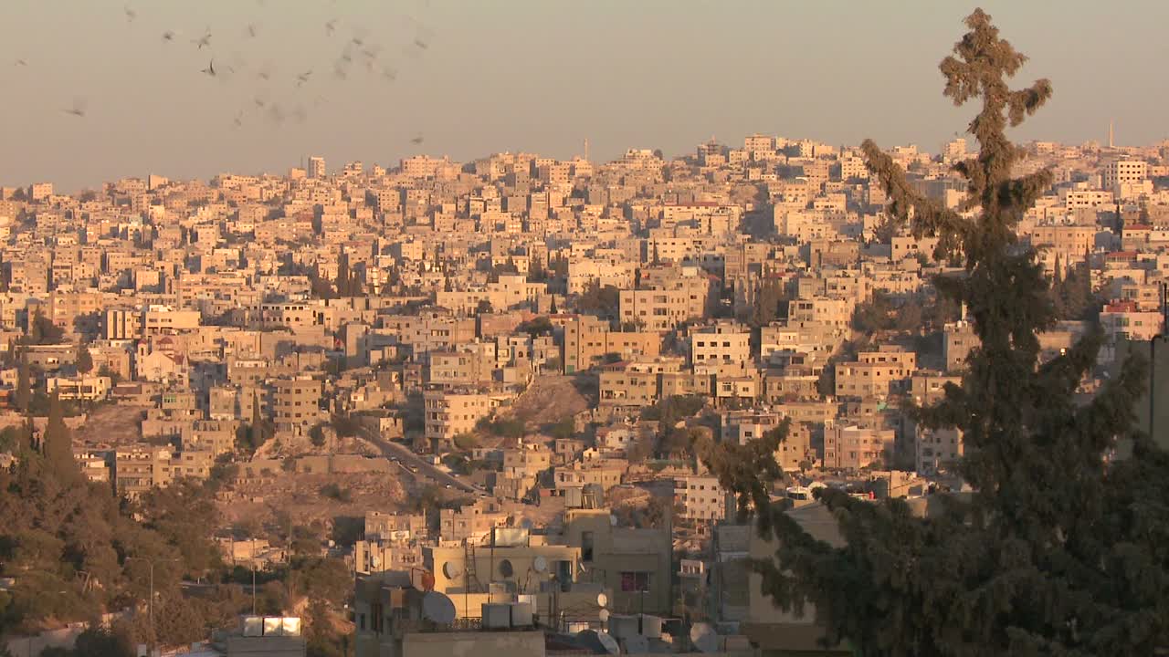 широкий снимок кварталов вблизи аммана иордания