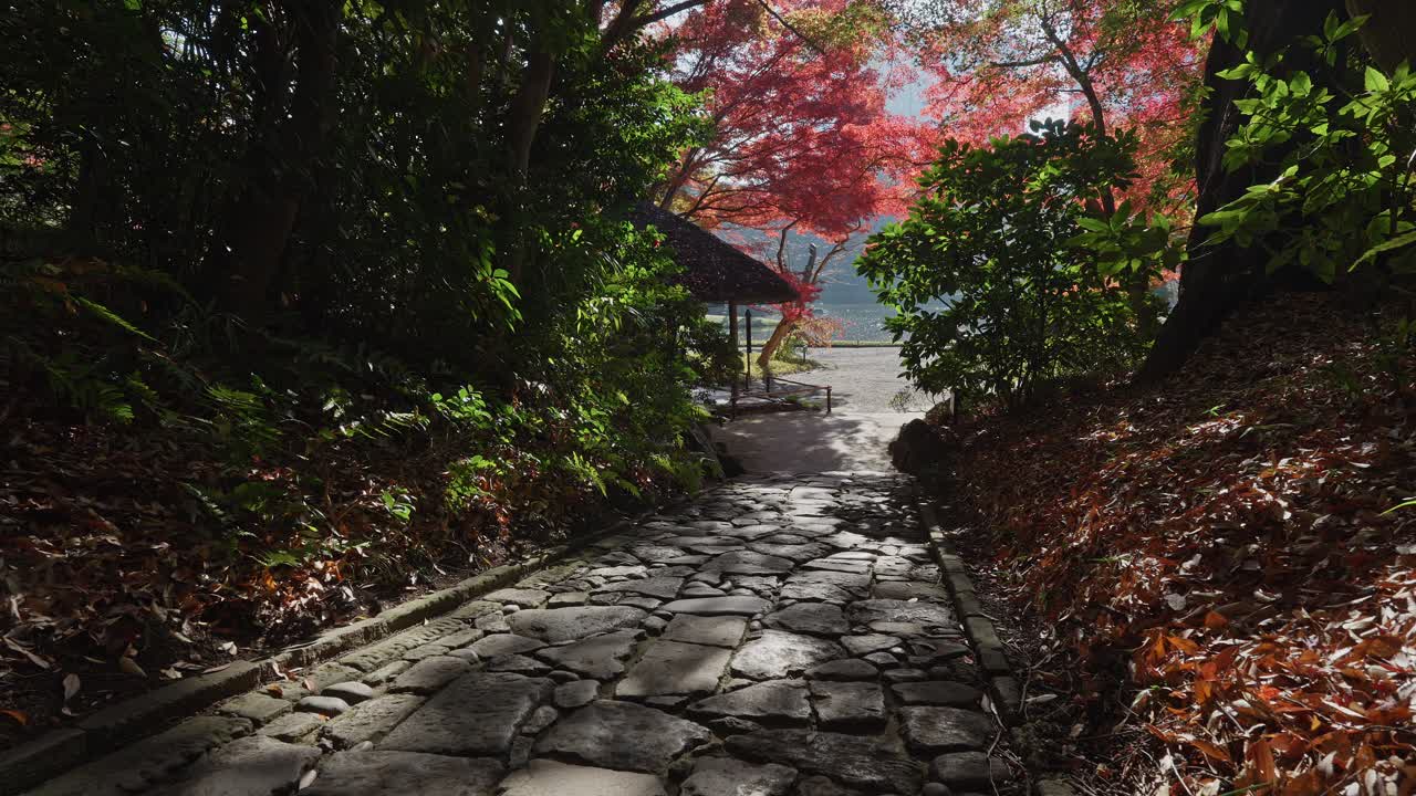 A serene ground-level view of a traditional Japanese stone path (nobedan) leading through dappled shadows and fallen leaves toward a thatched-roof building and vibrant red maple trees