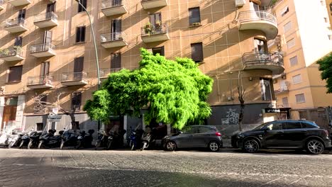 vehicles and pedestrians on a sunny street