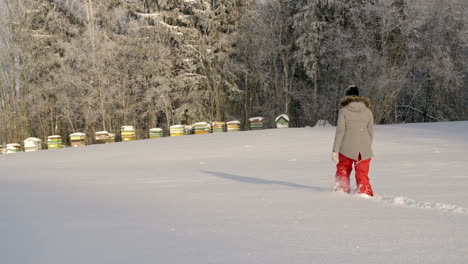 Shot-of-a-female-stepping-through-high-snow-towards-wooden-beehive-box-on-a-cold-winter-day