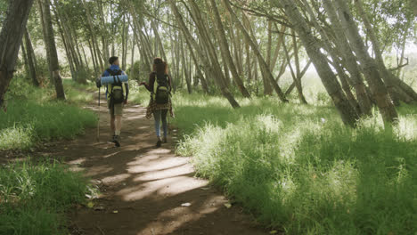 happy african american couple hiking with trekking poles in forest, slow motion