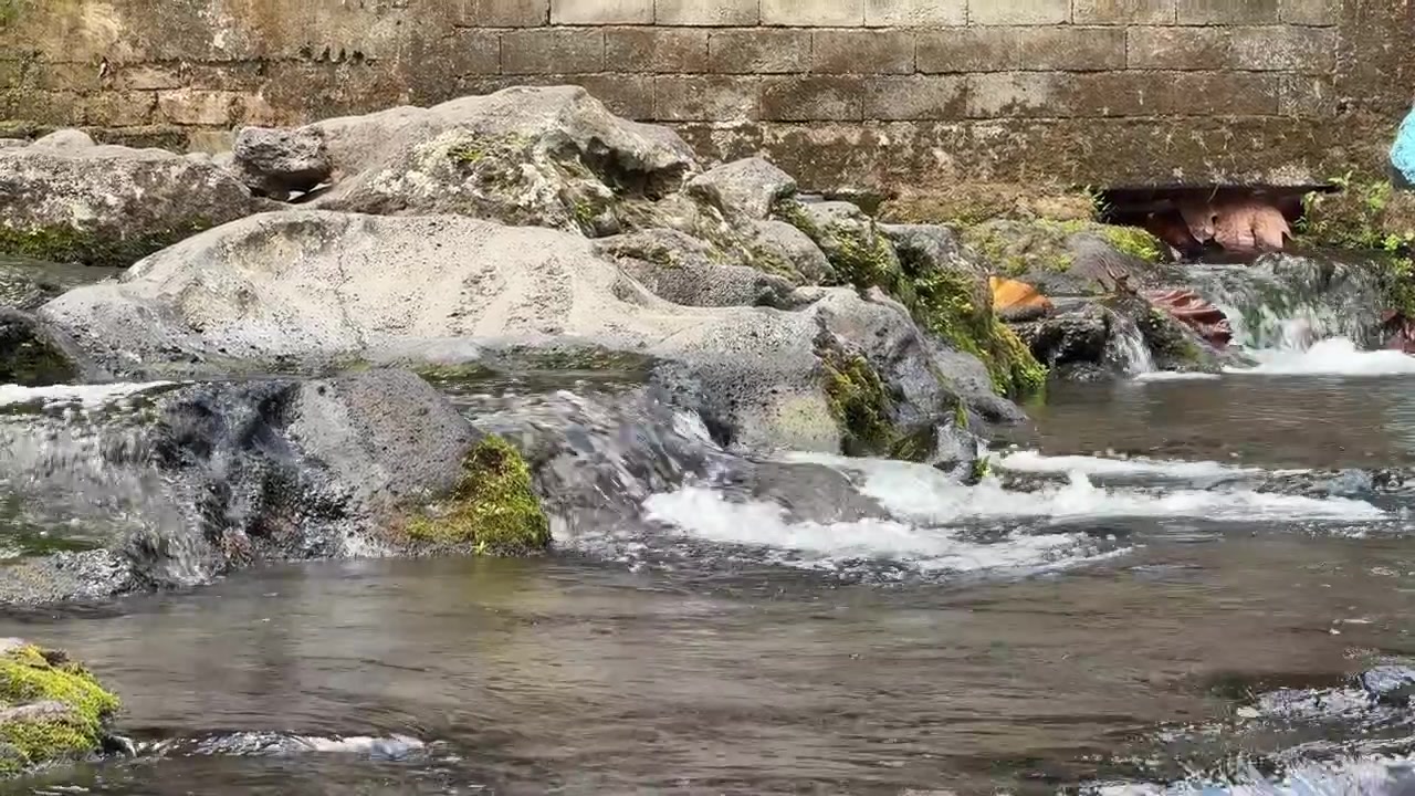 Aliran Sungai Kecil Mengalir di Atas Batu Berlumut Dekat Dinding Beton
