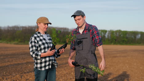 agricultores plantando árboles en primavera