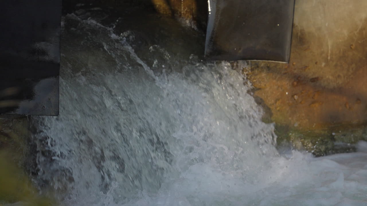 Salmon leaping up Ganaraska River in Ontario, slow motion action shot