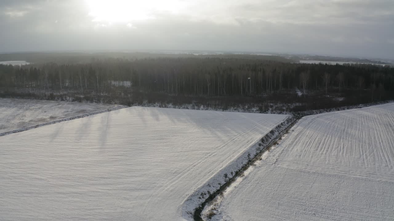 vista aérea de vuelo en campos cubiertos de nieve, bosque a través de una tormenta de nieve con sol