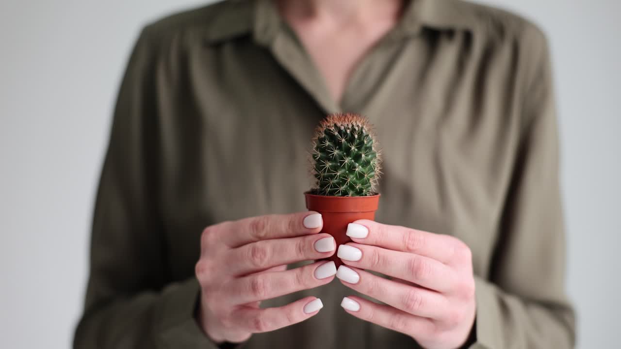Person holding a small potted cactus