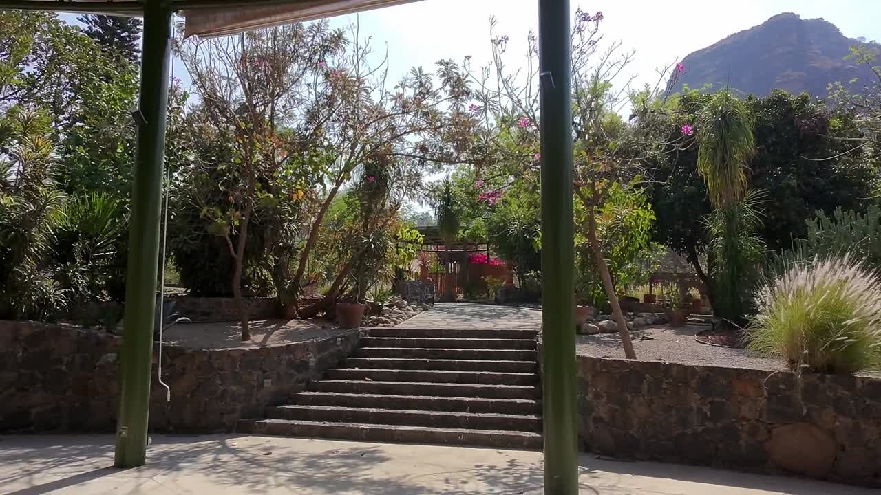 Pull out traveling shot of tropical garden during the day in Tepoztlan, Morelos, Mexico, outdoor