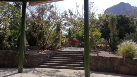 pull out traveling shot of tropical garden during the day in tepoztlan, morelos, mexico, outdoor