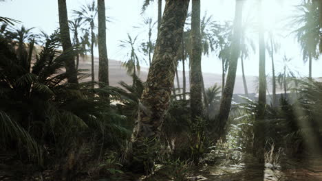 sandy dunes and palm trees in desert Sahara