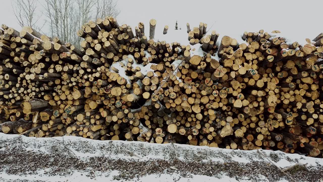 Perpendicular dolly shot of a big pile of wood in winter in Chibougamau, northern Quebec, Canada
