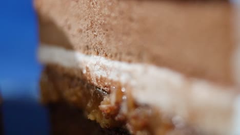 close-up view of a delicious chocolate cake slice.