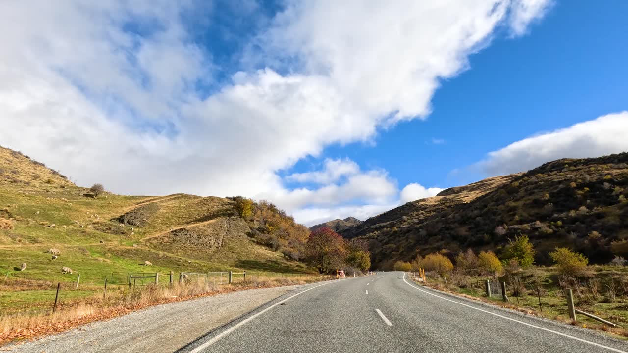 A serene drive through Wanaka's picturesque roads, showcasing vibrant autumn foliage under clear blue skies and soft lighting