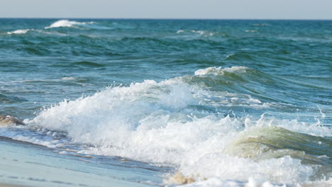 white foamy wave cresting at the sunlit beach