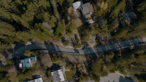 top down aerial following adventurous black suv car driving through outskirts of town with nature lush pine forest in winter with snow on ground