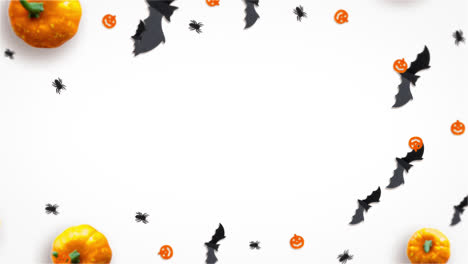 pumpkin-and-bat-loop-motion-graphics-video-on-white-background