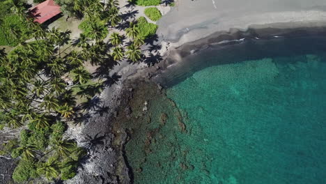 Agua-Cristalina-En-La-Playa-De-Arena-Negra-Bordeada-De-Palmeras-En-La-Isla-Grande,-Hawaii