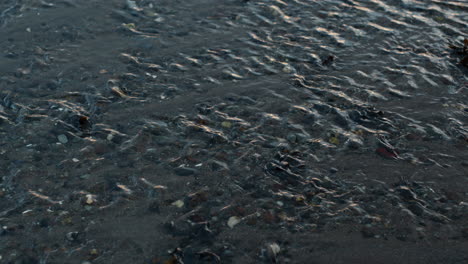 Seichtes-Wasser,-Das-Bei-Sonnenuntergang-In-Wellen-Fließt