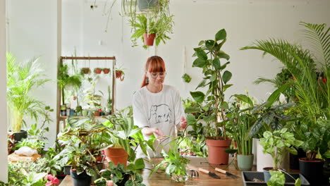 woman caring for a variety of houseplants