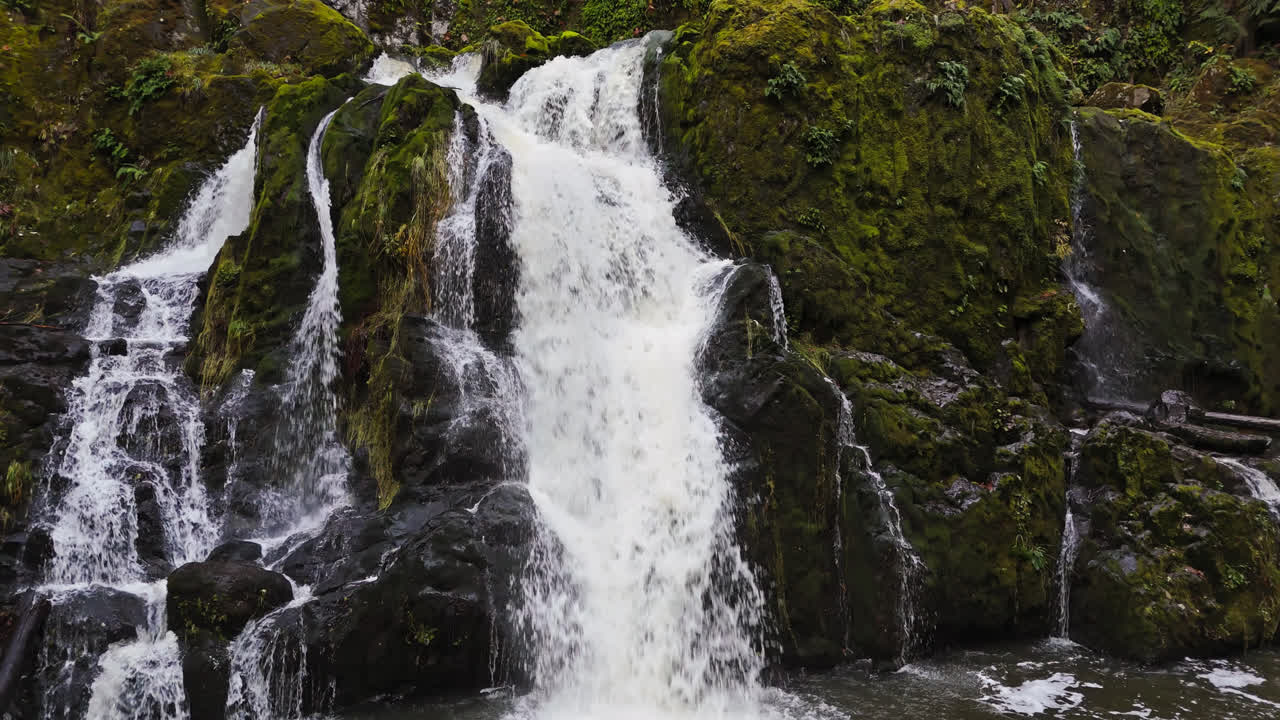 video en 4k de cerca de una cascada pacífica encontrada en un bosque