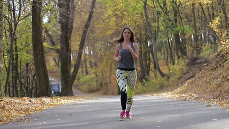slim athletic girl does morning running in the summer park slim athletic girl does morning running in the summer park