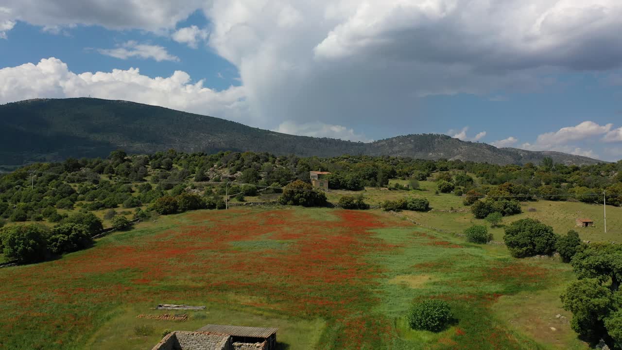 vuelo de avión no tripulado sobre campos de hierba y amapolas rojas donde se pueden ver algunos árboles y restos de edificios rústicos con un fondo montañoso y el cielo con grandes nubes en ávila, españa