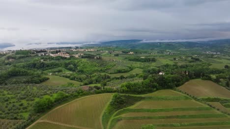 4K-Drohnenaufnahme-Toskanischer-Weinberge-Entlang-Der-Landwege