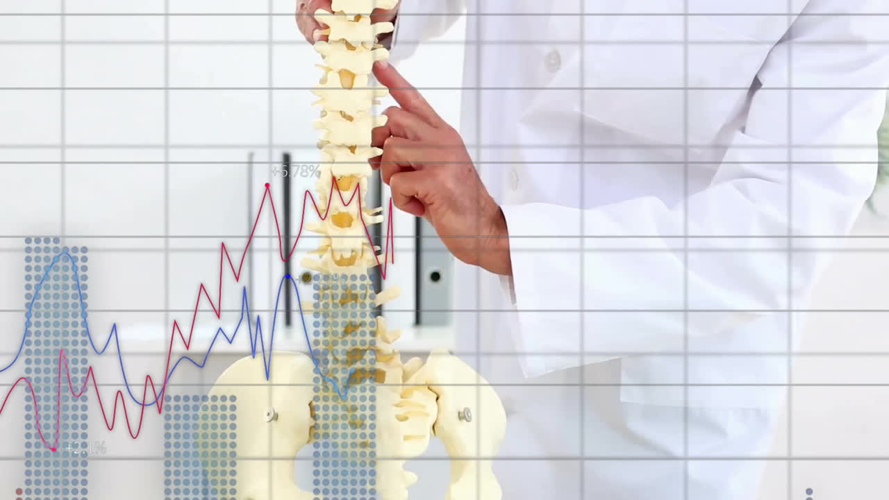 척추를 연구하는 백인 남성 의사에 대한 데이터를 처리하는 그래프의 애니메이션