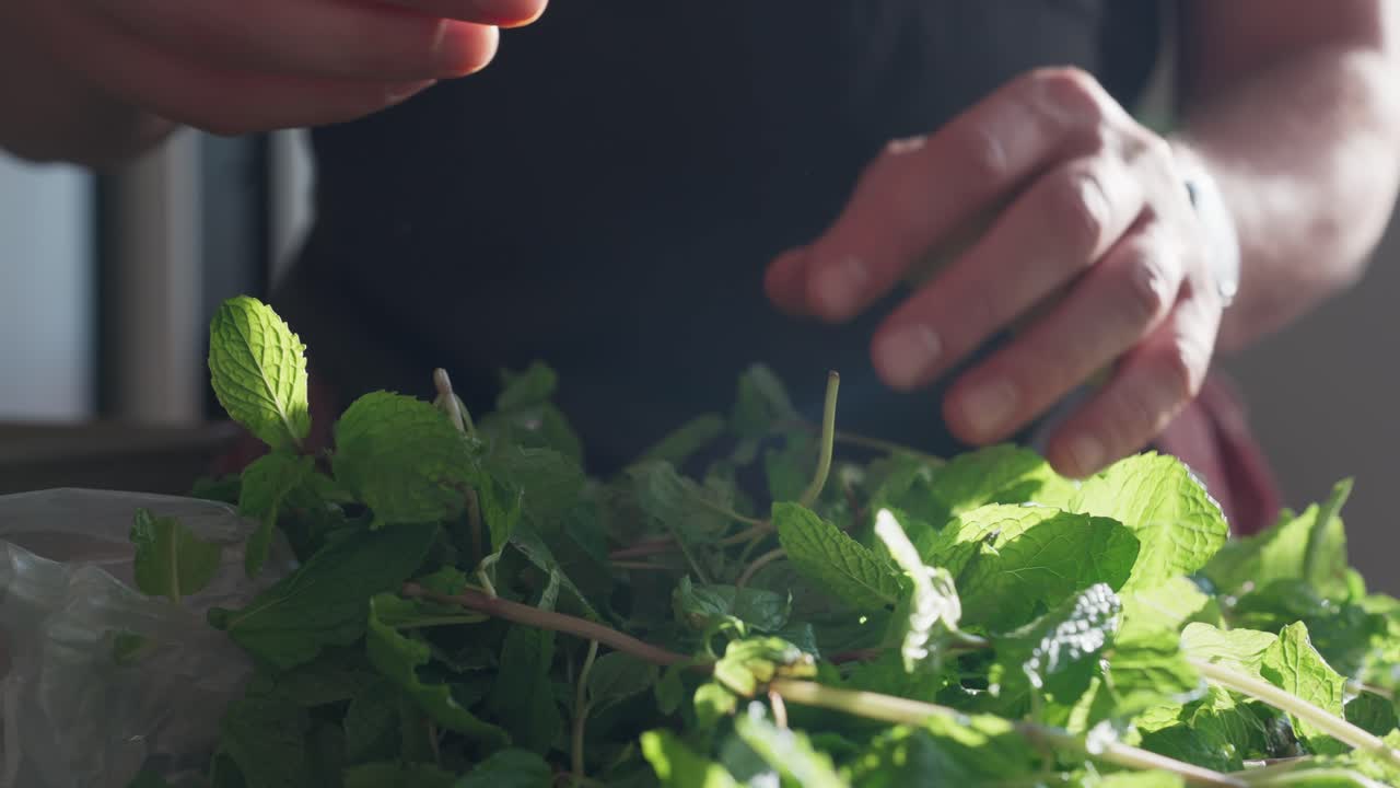 Erbe aromatiche delicatamente raccolte e scelte su un bancone illuminato dal sole (slow motion 4K).