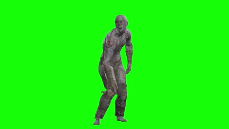 3d male zombie walk slowly on green screen seamless loop 3d animation, front view