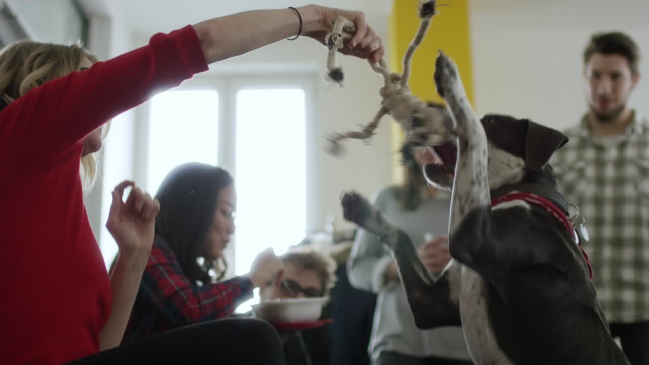 Attractive business woman playing with office dog in the break room
