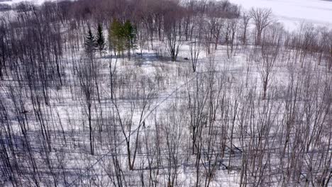 Drone-following-a-nordic-skier-on-a-sunny-winter-day