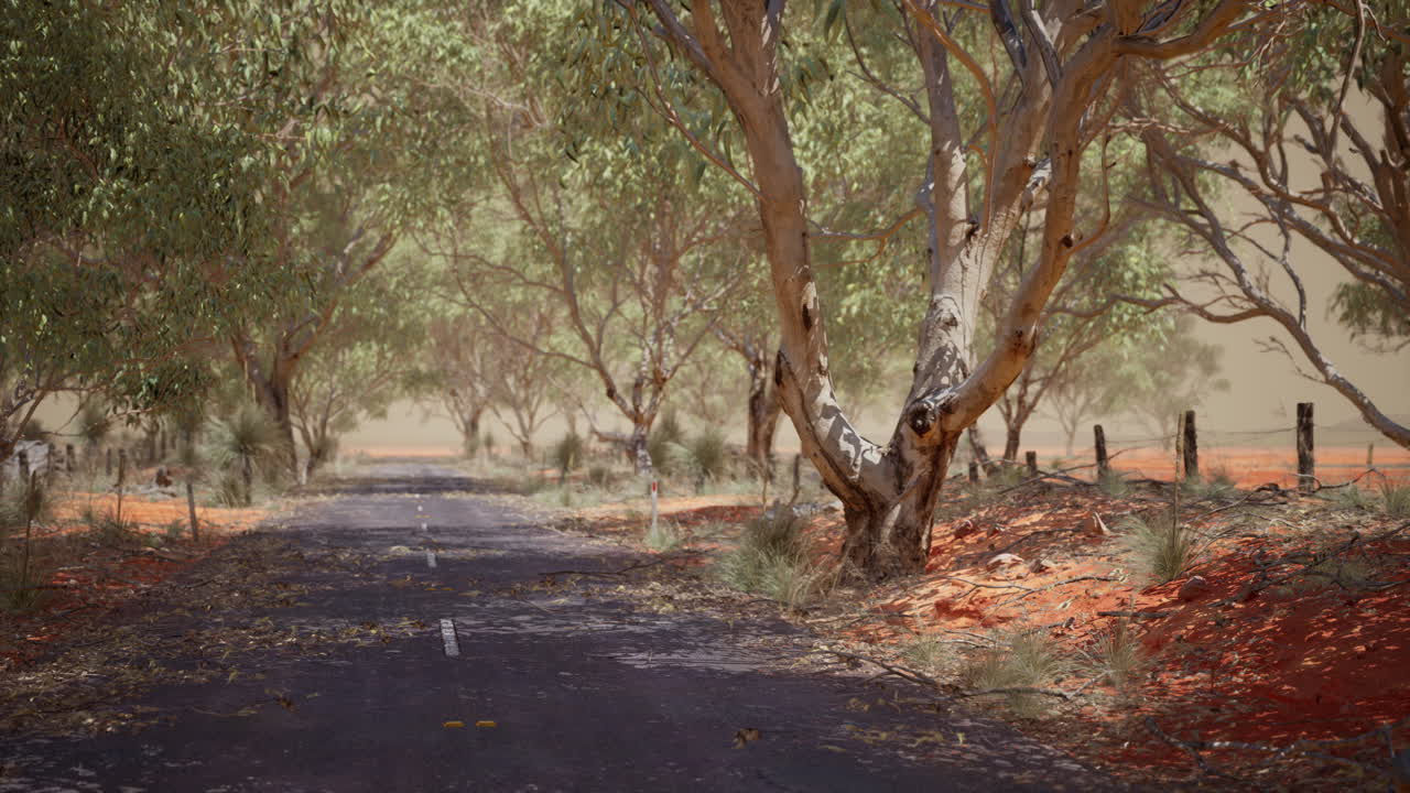 오스트레일리아 의 덤불 나무 들 이 있는 열린 도로