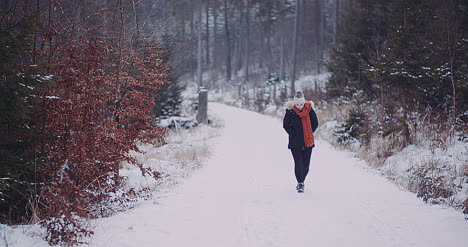 Tourinst-Relajante-En-El-Bosque-En-Invierno-9