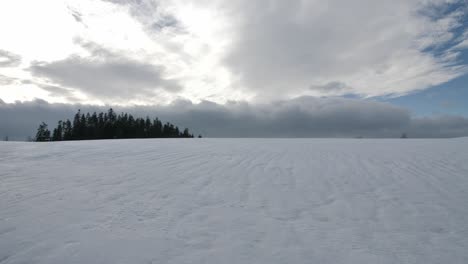 serene winter landscape: snow covered field under a cloudy sky