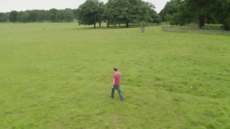 aerial view of a man walking in richmond park, camera is following the person walking