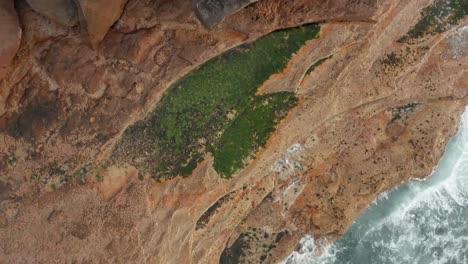 Beach-and-rock-textures-from-Clovelly-Sydney-Australia