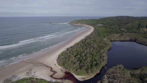 lago de árboles de té con agua manchada rodeado de un exuberante bosque de árboles de té verde