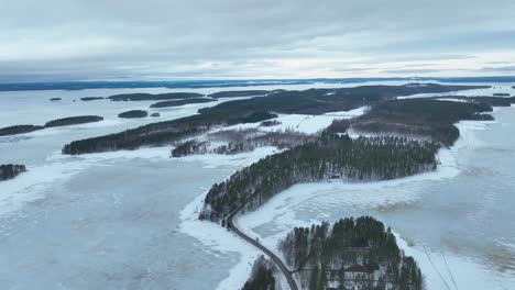 volando sobre un lago congelado y un bosque en el witner